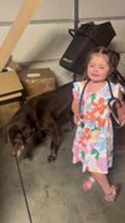 Little Girl Adorably Pretends to Be Vet for Her Dog