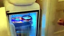 Girl Gives a Room Tour – Then Unexpectedly Shows This