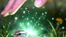 She Came Back an Archmage - Full Movie