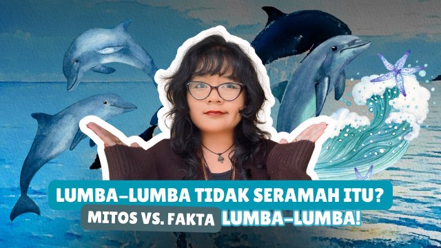 ​Jangan Salah Paham! Ini Fakta dan Mitos tentang Lumba-Lumba-Serius Ini Hewan?
