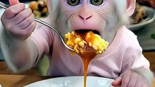 Baby Monkey’s First Big Meal 🍚🥩🐒  Cute Dinner Time