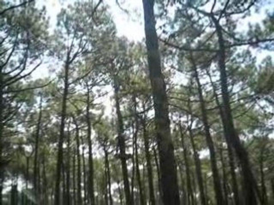 aventure parc