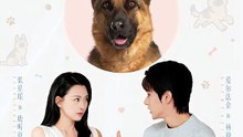 抖音新剧上线#穿越汪星来爱你 (上)