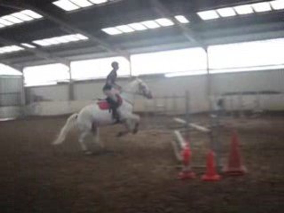 Piogue et Moi en cour