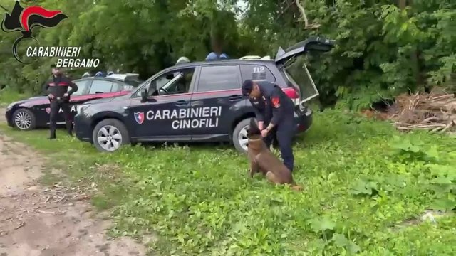 Pamela Genini, i cani dei carabinieri alla ricerca dei resti