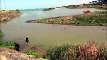 Dereye giren yunusu deniz polisi kurtardı