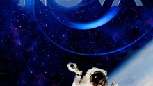 NOVA - Season 53 - Episode 04: Mammal Origins