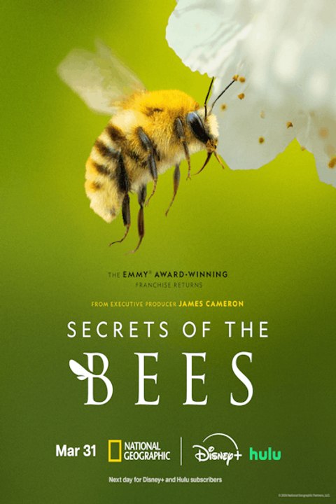 Secrets of the Bees - Season 1 - Episode 02: The Pollinators - video ...