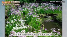 じゅん散歩  動画　2026年05月19日 Youtubeバラエティ動画倉庫 5mio