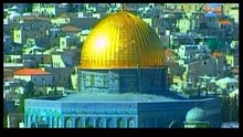أنشودة ليلى والطيور - قناة سنا