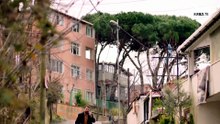 مسلسل خيوط الحياة الحلقة 101 مترجمة