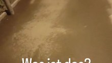 Was ist das? 🚶‍♀️ Trottoir vs. Bürgersteig