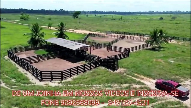 FAZENDA COM 4300 HECTARES A VENDA CMC