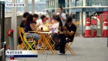 5월 무더위가 몰고 온 ‘팅커벨’…“살충제도 소용없어”