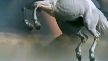 # STORM RIDER
