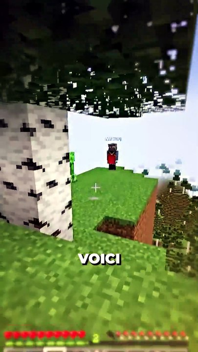 🤔 Donne ton avis en commentaire ! #minecraft