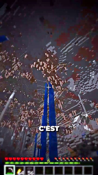 🤔 Donne ton avis en commentaire ! #minecraft