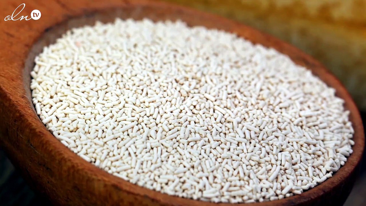 فوائد شرب الخميرة