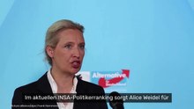 INSA-Ranking: Alice Weidel rückt zur Spitzengruppe auf - Kanzler Merz völlig abgeschlagen