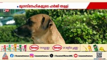 മനുഷ്യ ജീവന് ഭീഷണിയാകുന്ന തെരുവ് നായകളെ കൊല്ലാന്‍ സുപ്രീംകോടതി അനുമതി