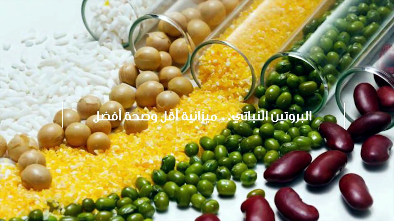 البروتين النباتي.. ميزانية أقل وصحة  أفضل