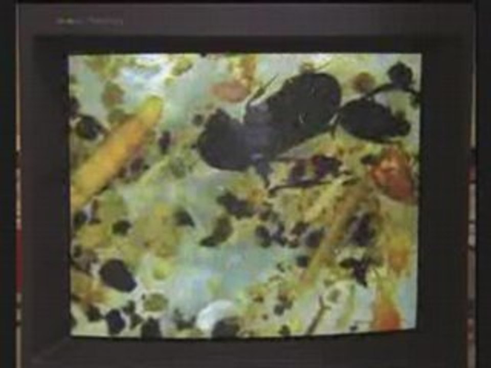 Bio attitude sans béatitude 1.3 bis