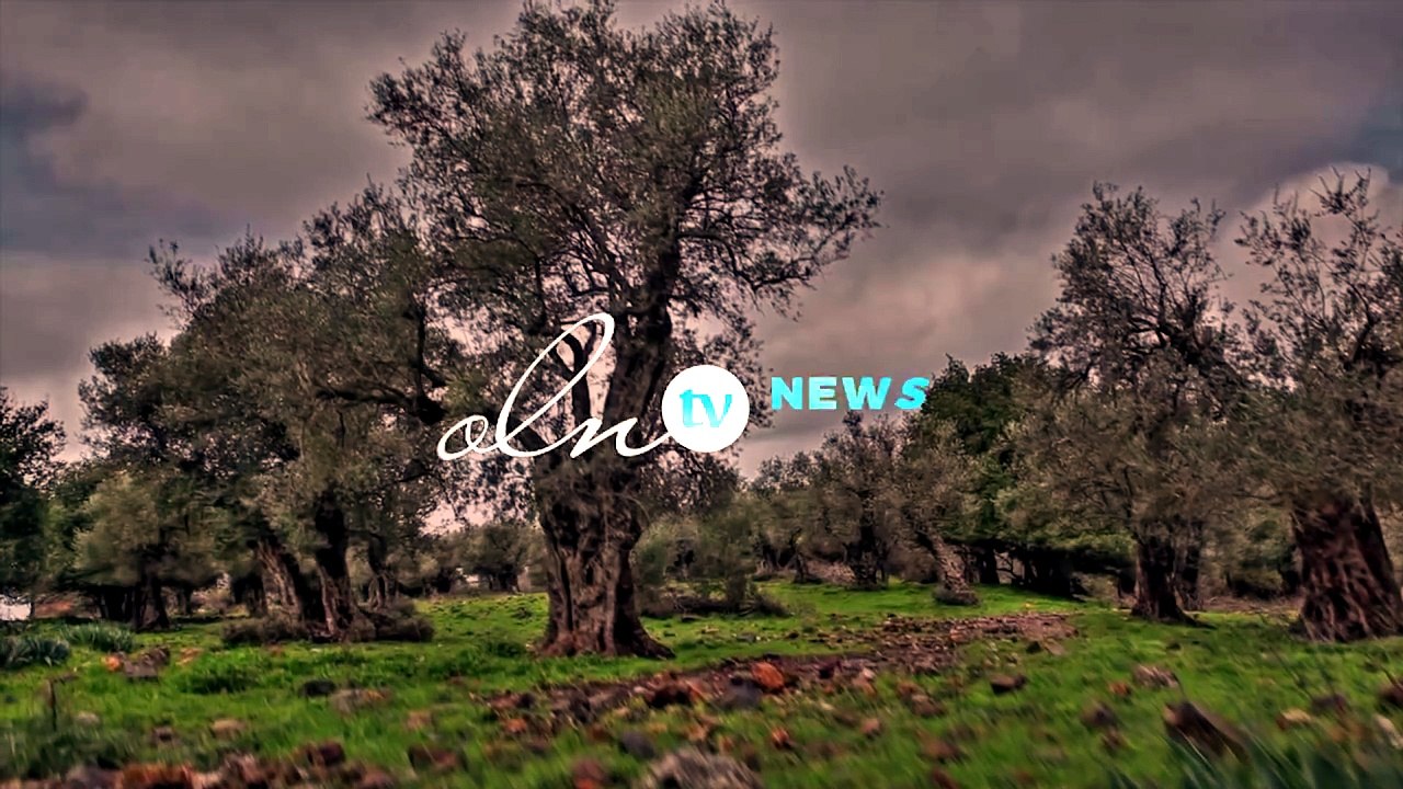 لن تصدقي ما يحدث عند إضافة زيت الزيتون إلى الملح !