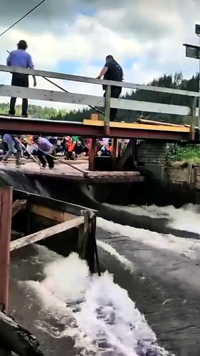 Splash Zone! Intense Log Flume Ride"