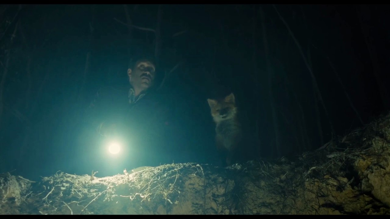 The Fox Trailer OV