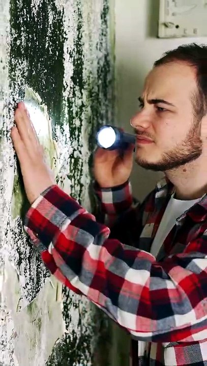 Hidden Water Damage Costs Thousands — Act Fast with Green Planet Restoration