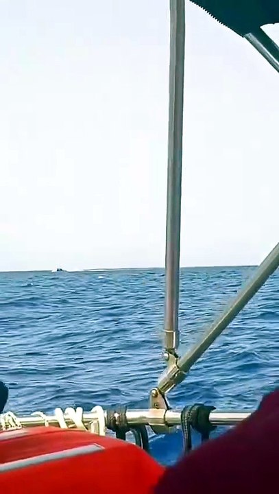 Flotilla: intercettata la Don Juan: a bordo Antonella Bundu e Dario Salvetti