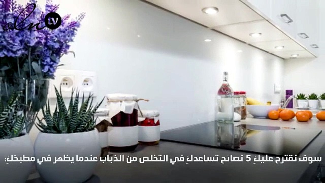 5 نصائح فعّالة للتخلص من الذباب في المطبخ !