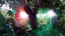 AKWAUGO Official Trailer