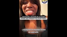 📺Son élève l'accuse de lui avoir donné à manger des croquettes pour chien🤣🎬ABONNES-TOI & METS UN COM' STP MERCI📺🙏😉😎💖