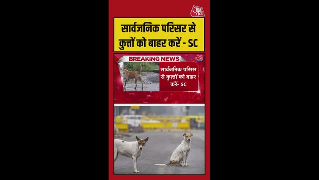 आवारा कुत्तों को लेकर SC का सख्त आदेश