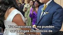 Bodas 'Pet Friendly' en Ecuador: las mascotas ahora pueden ser testigos en el Registro Civil