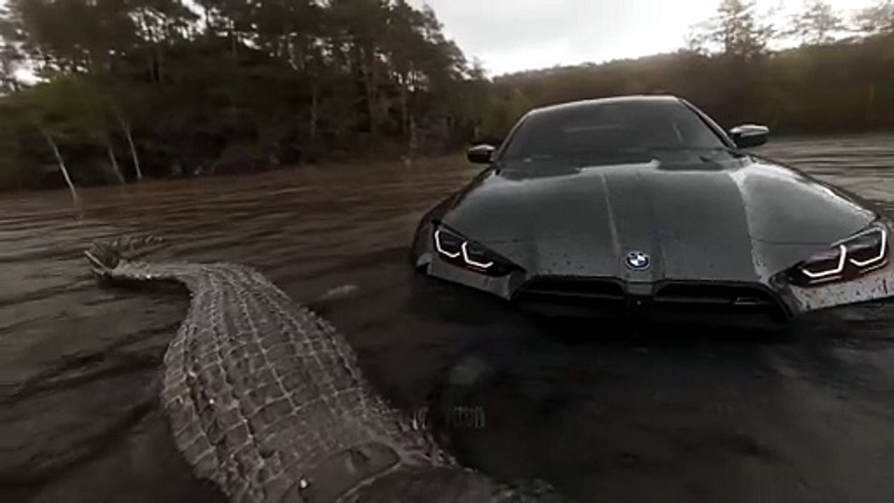 Let's drive