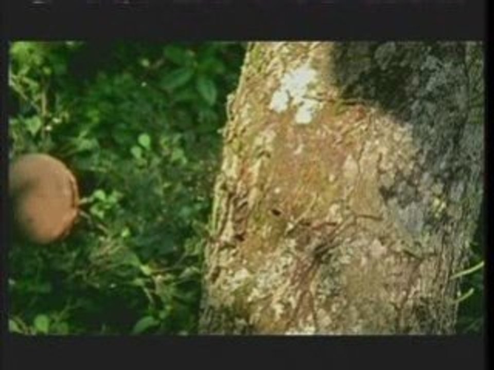 DJTC Remix trance Medley HQ Full Screen it