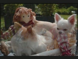 Diaporam des petits princes 15 juin 2008