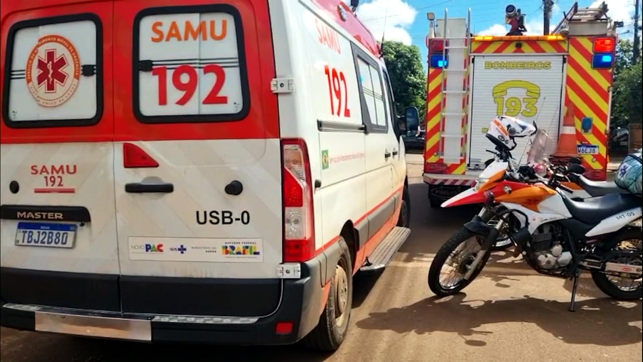 Pássaro morto e cão desidratado: Após desconfiança, bombeiros arrombam porta e localizam idoso que teve AVC há 4 dias