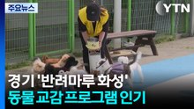 "마음의 문 열어요"...반려마루 동물 교감 '온기' / YTN