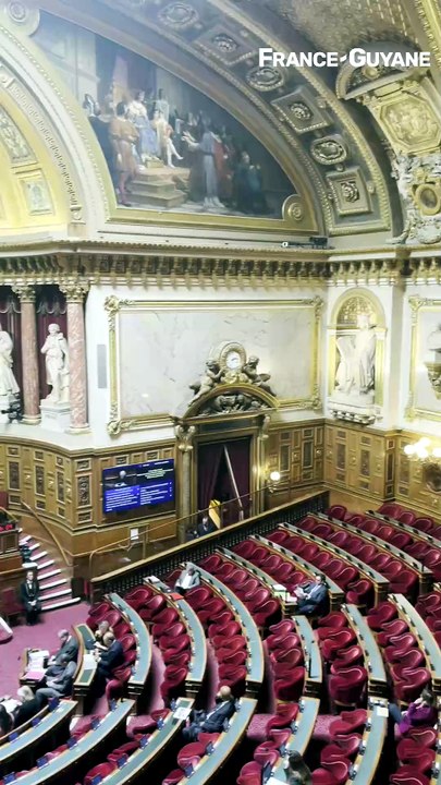 Le Sénat vote à l'unanimité la restitution des dépouilles kali'na à la Guyane