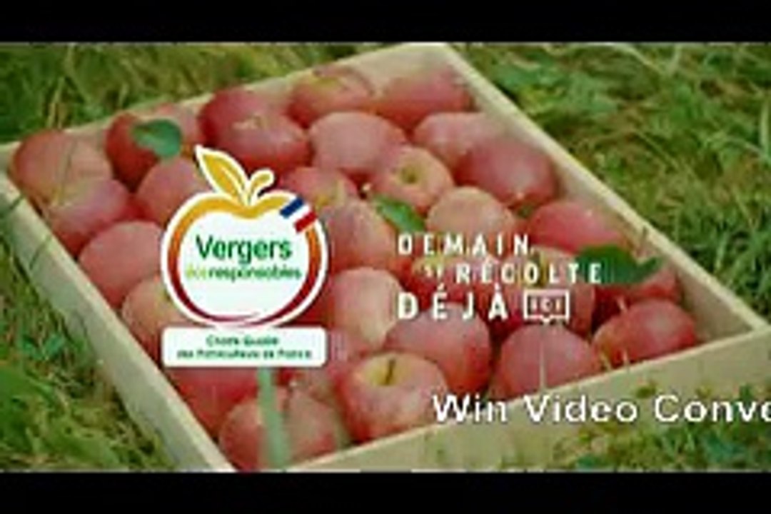 France 3 - 15-02-2026 11h00 01h (583)_trial_0