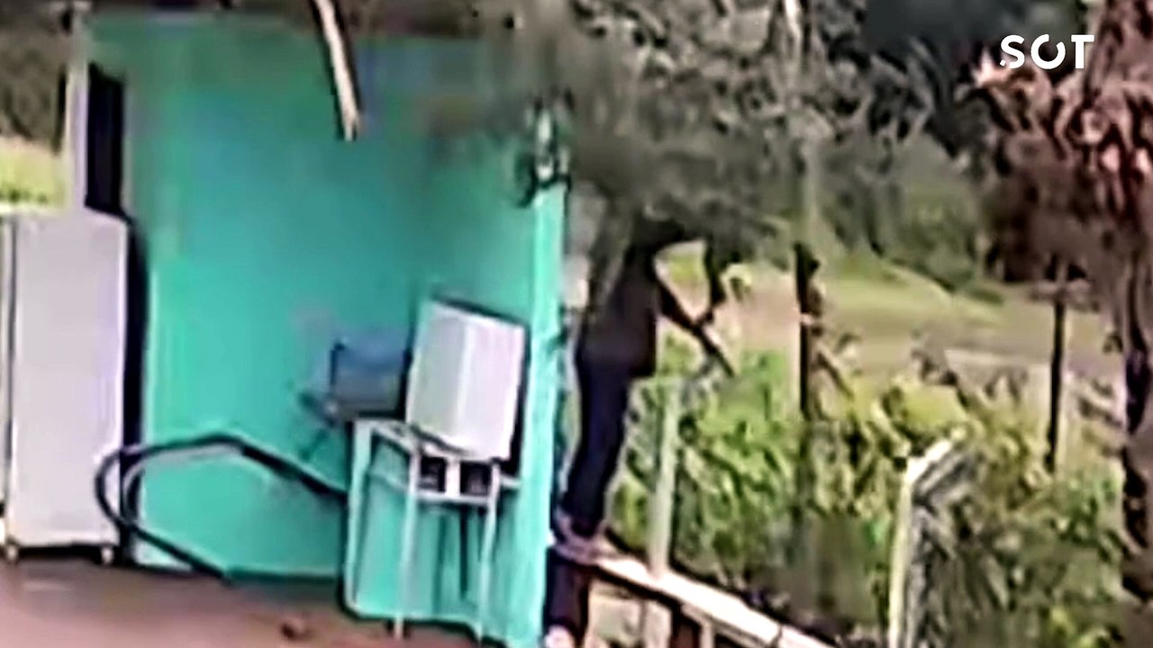 Vídeo revela momento exato de acidente que matou 4 pessoas na PR-545, em Londrina