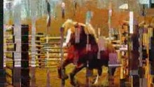 Vidéo chevaux