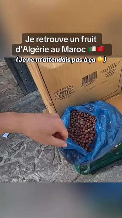 Un fruit étrange au Maroc 😲🇲🇦