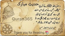 Daily Hadith Quran365