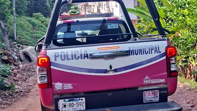 Refuerzan apoyo a mujeres víctimas de violencia en Vallarta | CPS Noticias Puerto Vallarta