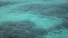 A High Wind in Jamaica (1965) | Full Vintage Pirate Movie | Anthony Quinn & James Coburn