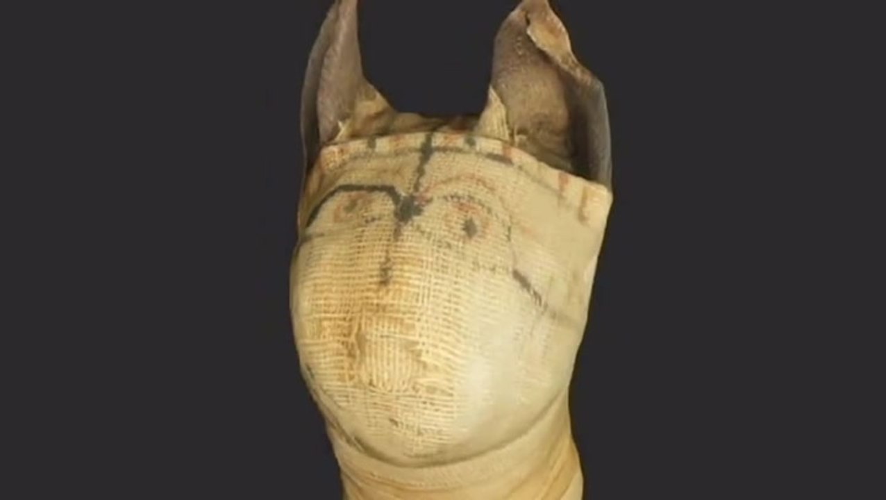 Peer Inside A 2,000-Year-Old Egyptian Cat Mummy